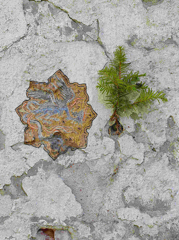 Projekt-TreeEast